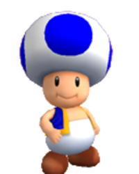 Toad PM.png