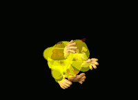 DonkeyKongFAirSSBM.gif