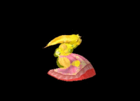 Peach Up Aerial Hitbox Melee.gif