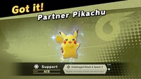 Partner pikachu.jpg