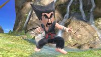 Heihachi costume SSBU.jpg