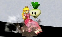 Peach Down Special Smash 3DS.JPG