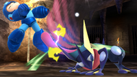 Greninja and MegaMan.png
