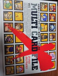 Multi-card-file 1.jpg