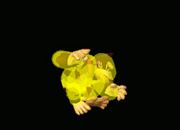 DonkeyKongNAirSSBM.gif