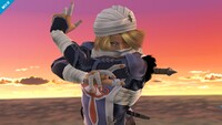 SSB4 - Sheik Screen-8.jpg