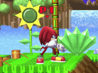 Knuckles Side Taunt.gif