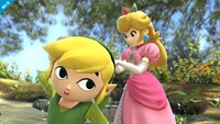 SSB4 Toon Link Screen-4.jpg