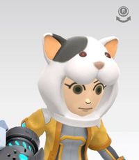 SSBU Cat Hat (F).jpg
