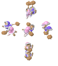 IceClimbersAerialAttacksSSBM.png