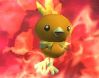 Torchic.jpg