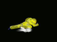 SheikDashAttackSSBM.gif