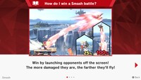 SSBU Help Information.jpg