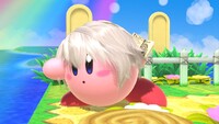 SSBU Robin Kirby.jpg