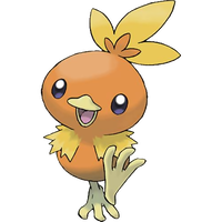 Torchic-Origin.png