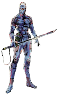 Gray Fox.png