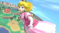 SSBUWebsitePeach1.jpg