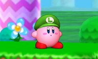 KirbyLuigiHat.jpg