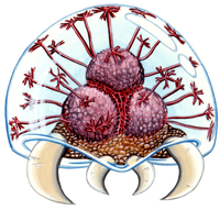 M2 Metroid Artwork.png