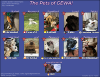 GEWA-PR-Graphic-2025-2.png