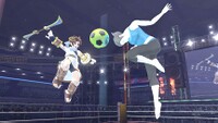 Wii Fit Trainer Soccer Ball.jpg